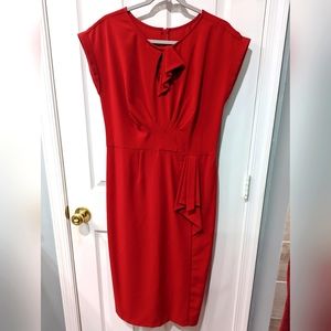 Stop staring timeless fitted dress
